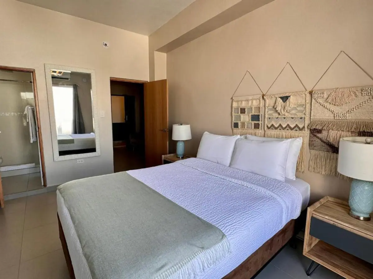 1 br apartment